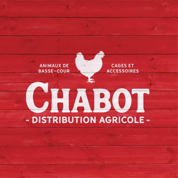 Ligne graphique pour Chabot