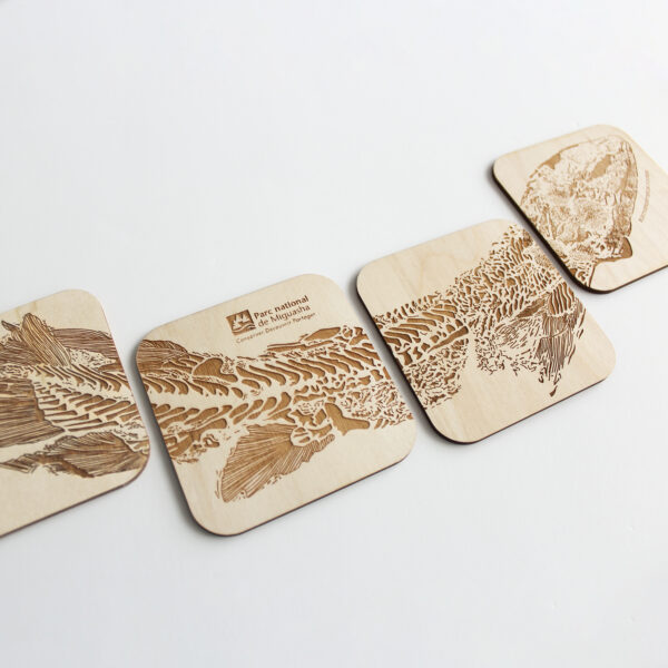 Sous-verres en bois pour le Parc national de Miguasha