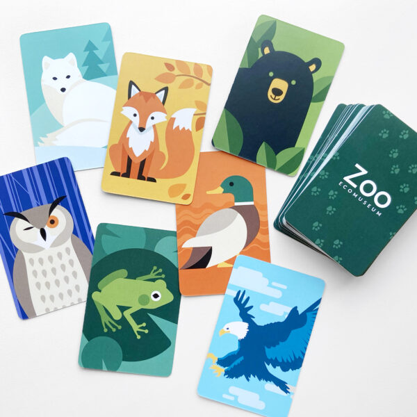 Jeux de cartes de mémoire avec illustration sur mesure pour le Zoo Ecomuseum